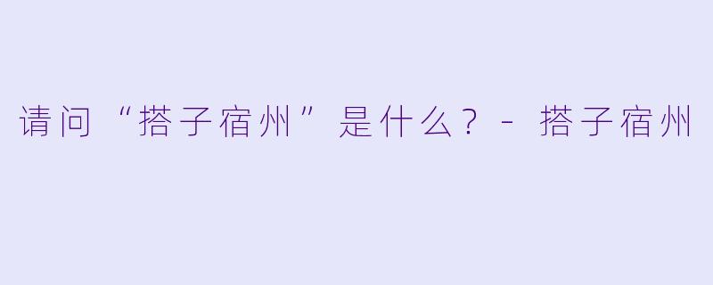 请问“搭子宿州”是什么？-搭子宿州