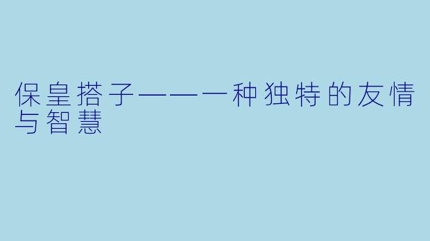 保皇搭子——一种独特的友情与智慧