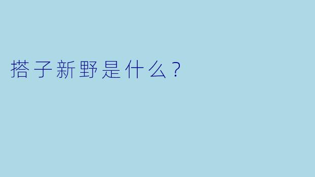 搭子新野是什么？
