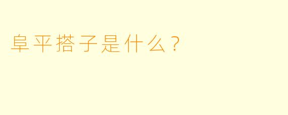 阜平搭子是什么？  