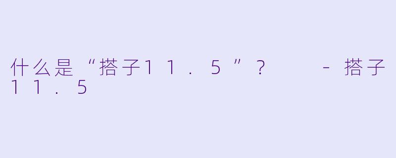 什么是“搭子11.5”?