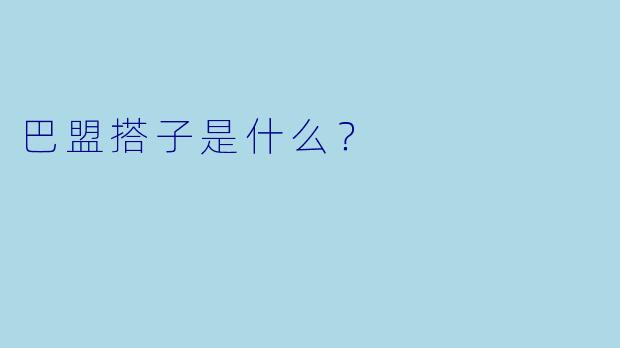 巴盟搭子是什么？