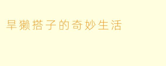 旱獭搭子的奇妙生活