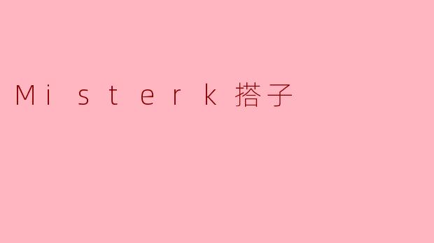 Misterk搭子是什么？
