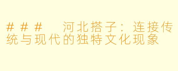 ### 河北搭子：连接传统与现代的独特文化现象