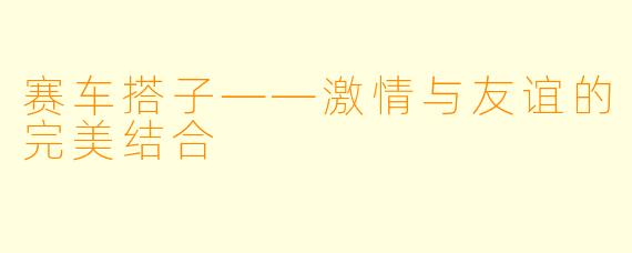 赛车搭子——激情与友谊的完美结合