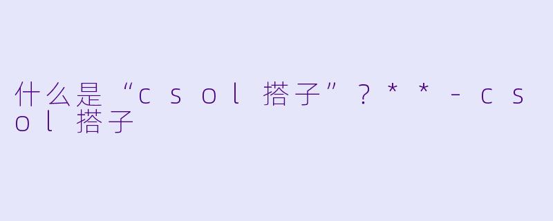 什么是“csol搭子”?**