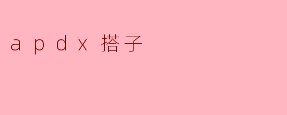 什么是“apdx搭子”?