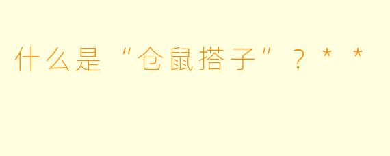 什么是“仓鼠搭子”？**