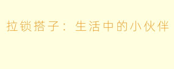 拉锁搭子：生活中的小伙伴