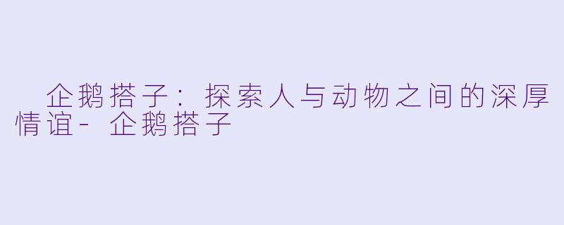  企鹅搭子：探索人与动物之间的深厚情谊-企鹅搭子