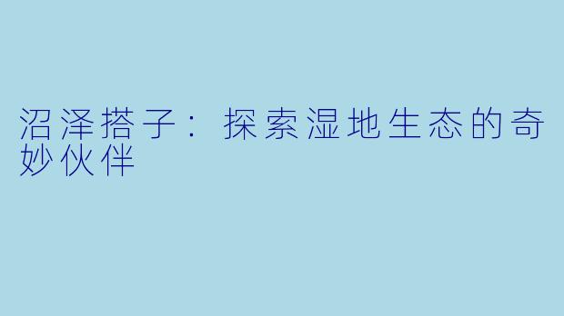 沼泽搭子：探索湿地生态的奇妙伙伴
