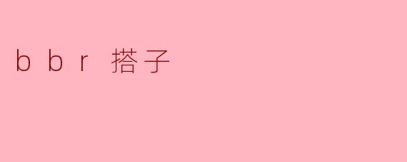 bbr搭子