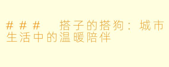 ### 搭子的搭狗：城市生活中的温暖陪伴