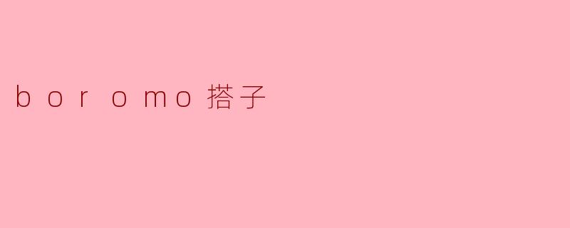 探索Boromo搭子的魅力:身边的小伙伴,大大的世界
