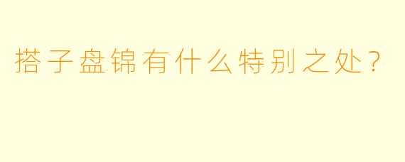 搭子盘锦有什么特别之处？