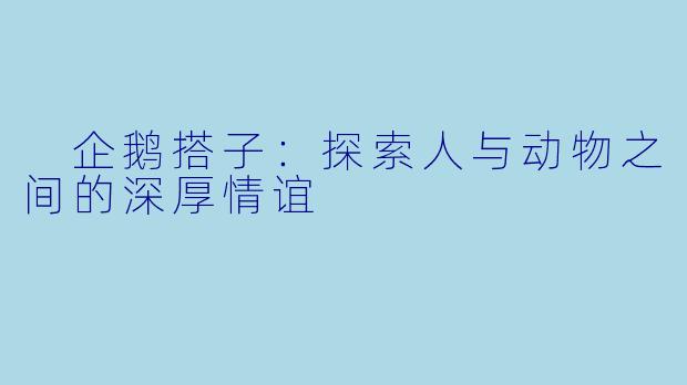 企鹅搭子:探索人与动物之间的深厚情谊