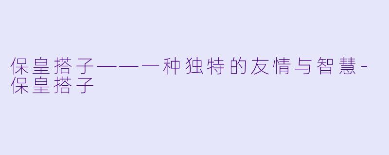 保皇搭子——一种独特的友情与智慧-保皇搭子
