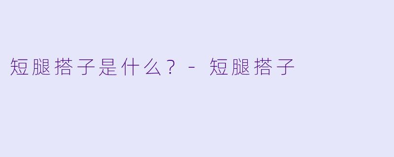 短腿搭子是什么？