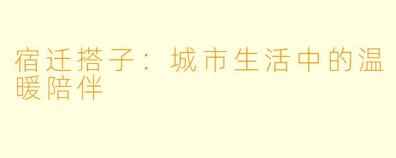宿迁搭子:城市生活中的温暖陪伴
