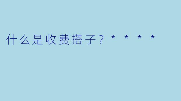 什么是收费搭子？****