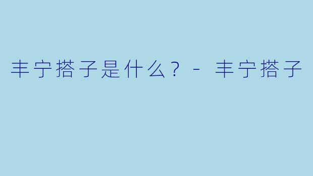 丰宁搭子是什么？