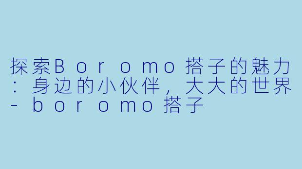 探索Boromo搭子的魅力：身边的小伙伴，大大的世界-boromo搭子
