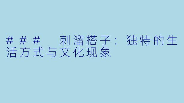 ### 刺溜搭子：独特的生活方式与文化现象