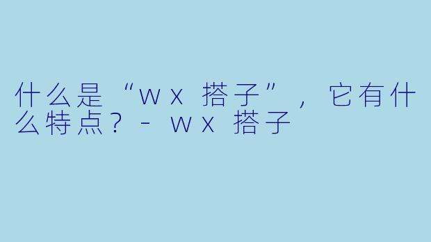 什么是“wx搭子”,它有什么特点?