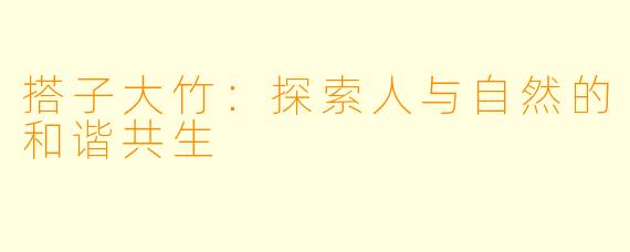 搭子大竹:探索人与自然的和谐共生