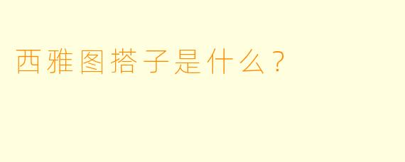 西雅图搭子是什么？