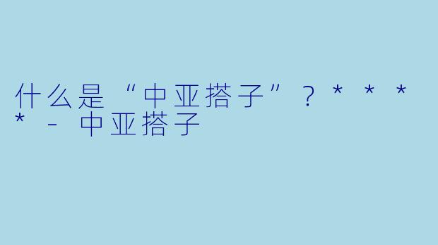 什么是“中亚搭子”？****
