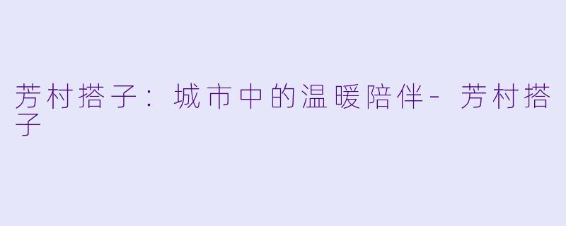 芳村搭子：城市中的温暖陪伴