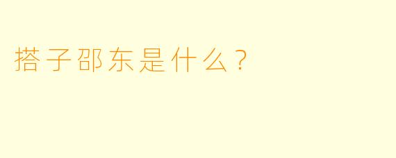 搭子邵东是什么？