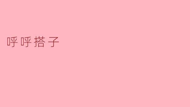呼呼搭子