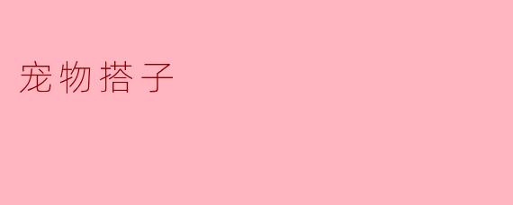 宠物搭子：与毛孩子共享快乐时光