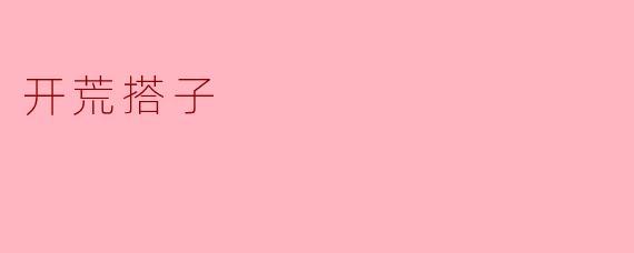 开荒搭子