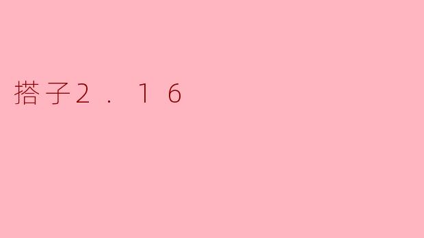 搭子2.16