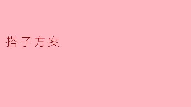 什么是搭子方案?****