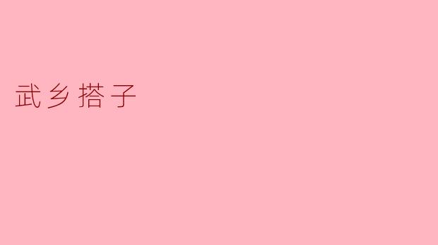武乡搭子是什么？