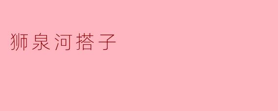 狮泉河搭子