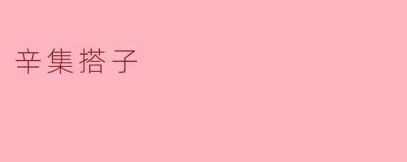 什么是辛集搭子,主要有哪些功能?