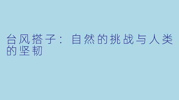 台风搭子:自然的挑战与人类的坚韧
