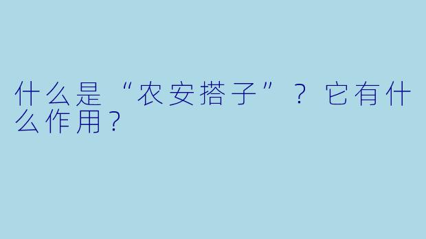 什么是“农安搭子”?它有什么作用?