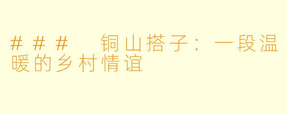 ### 铜山搭子：一段温暖的乡村情谊