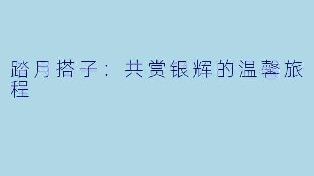 踏月搭子：共赏银辉的温馨旅程