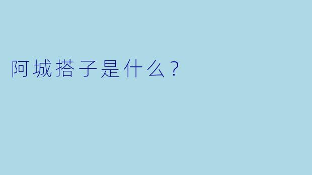 阿城搭子是什么？  