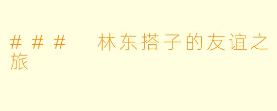 ### 林东搭子的友谊之旅
