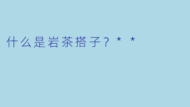 什么是岩茶搭子？**