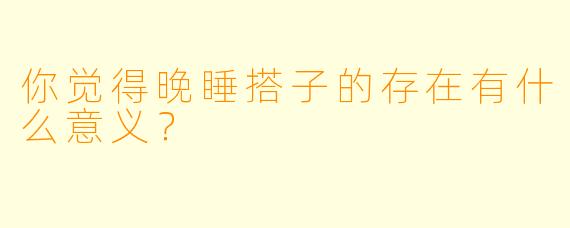 你觉得晚睡搭子的存在有什么意义？